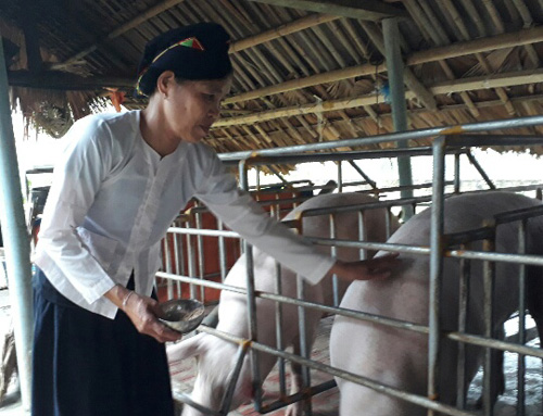 lam giau o nong thon: mot nghe thi song, dong nghe co tram trieu hinh anh 1