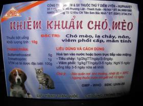 Nhiễm khuẩn chó, mèo