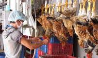 NHỮNG ĐIỂM CẦN CHÚ Ý TRONG QUÁ TRÌNH MỔ KHÁM