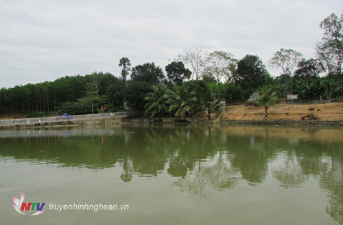 Trang trại chăn nuôi tổng hợp của ông Văn được xây dựng trên diện tích gần 5ha đất vườn đồi