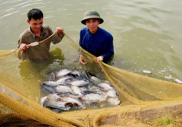 Về Mông Sơn nghe chuyện nông dân làm giàu