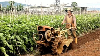 Bí quyết làm giàu của nông dân Đà Lạt