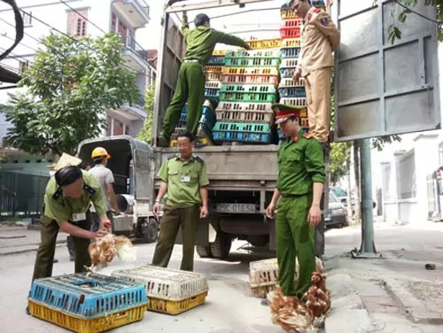 Hà Nội tuyên chiến với nạn buôn lậu gia cầm, hàng giả dịp Tết