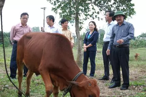 Chống dịch LMLM như chống bão