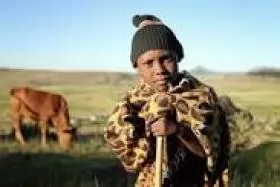 BỆNH LAO BÒ (Bovine tuberculosis)