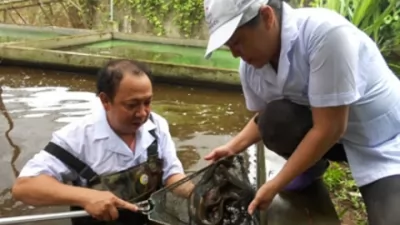 Trang trại nhỏ, doanh thu lớn