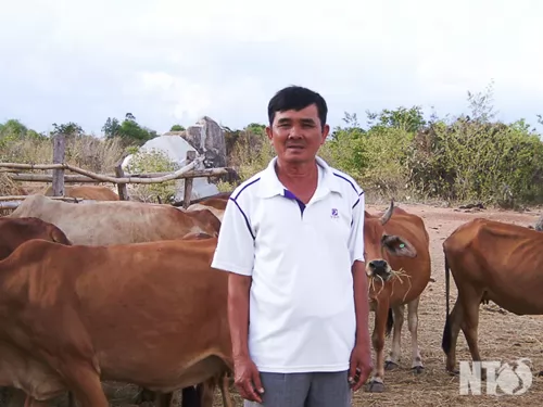 Nông dân chăn nuôi giỏi