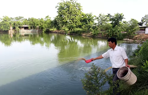 Anh nông dân làm kinh tế giỏi