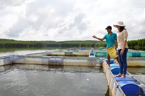 Quảng Trị: Người tiên phong nuôi cá lồng bè ở Cam Lộ