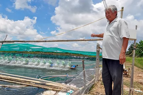 Sóc Trăng: Nông dân giỏi làm giàu từ nuôi tôm, thu nhập hàng tỷ đồng mỗi năm