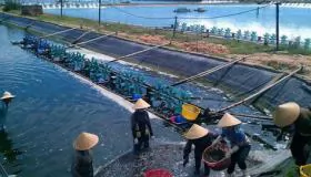 Chăn nuôi đặt mục tiêu vào nhóm xuất khẩu tỷ USD năm 2020