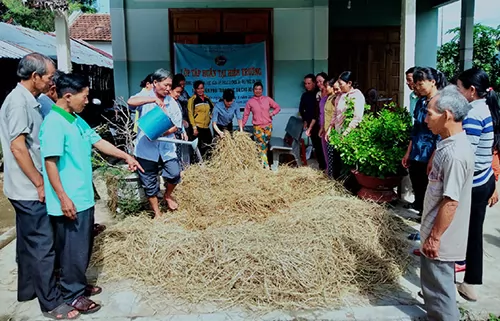 Đồng Xuân (Phú Yên): Tập huấn kỹ thuật chế biến thức ăn cho bò