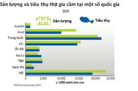 3 “trụ cột” nuôi gia cầm trên thế giới