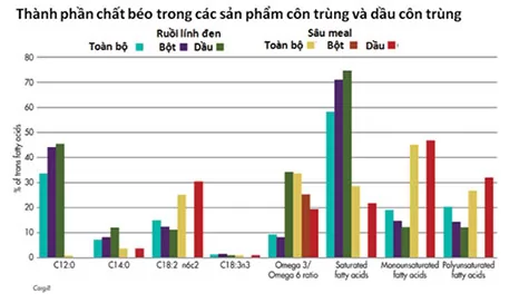 Dầu côn trùng - Thành phần thức ăn mới cho gia cầm và heo