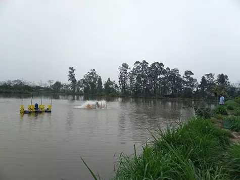 Vĩnh Phúc: Chủ động bảo vệ đàn gia súc, gia cầm trong những ngày nắng, nóng