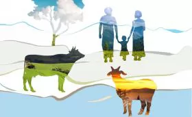 Chăn nuôi thế giới năm 2021: Bền vững, trách nhiệm và hiệu quả