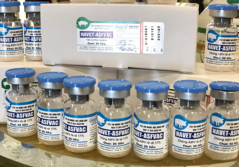 Vaccine ASF - Điểm sáng của ngành nông nghiệp năm 2023