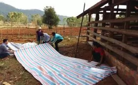 Phòng chống dịch bệnh cho vật nuôi vào mùa mưa bão