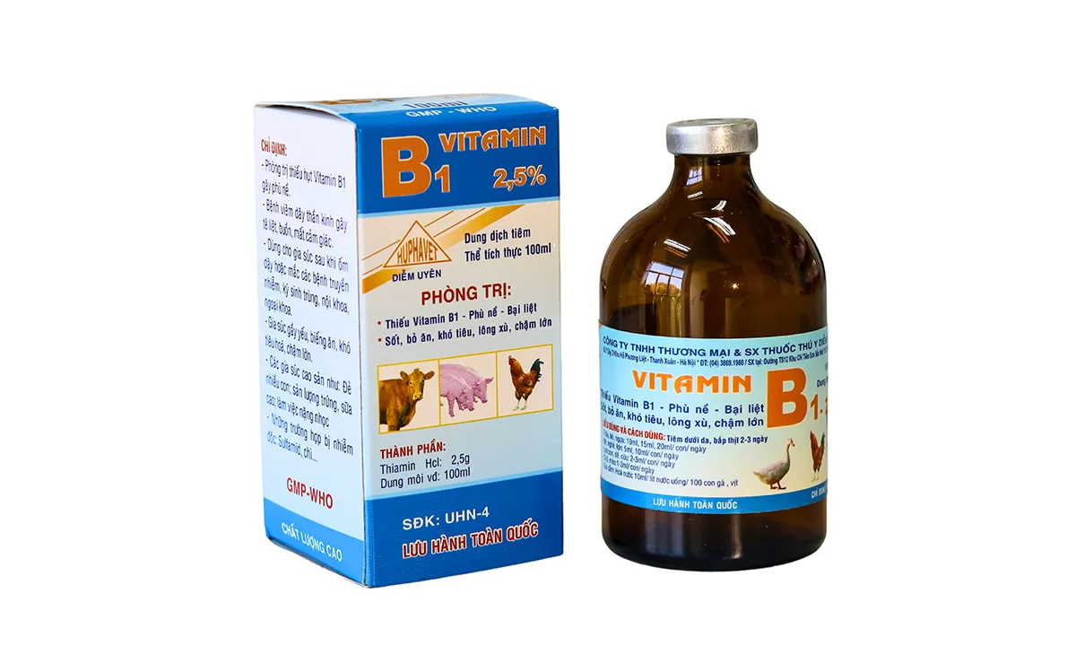 VITAMIN B1 2,5%