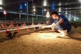 Xử lý hiệu quả nguồn chất thải chăn nuôi