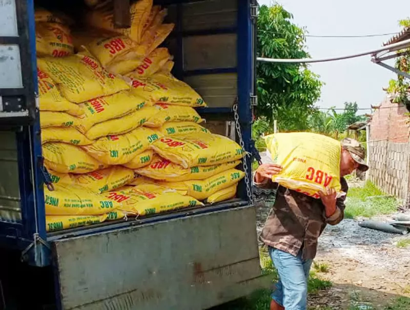 Chăn nuôi vịt thương phẩm an toàn sinh học