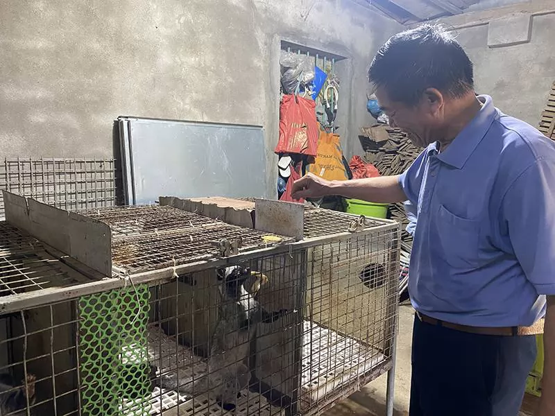 Nhiều mô hình con nuôi đặc sản hiệu quả