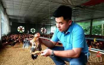 Nhân rộng mô hình tự động hóa trong chăn nuôi