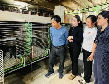 Thu nhập nửa tỷ đồng từ nuôi chồn hương