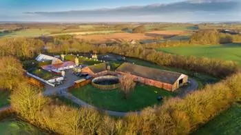 Đan Mạch: Nuôi heo hiệu quả nhờ kỹ thuật cho ăn chính xác