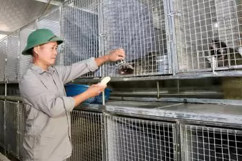 Liên kết nuôi chồn hương giúp người dân Đức Thọ nâng cao thu nhập