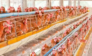 Những việc cần làm để phòng tránh và ứng phó với mưa bão