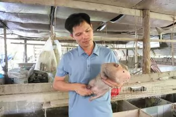 Triển vọng từ con dúi