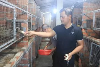 Hiệu quả mô hình nuôi cầy vòi hương ở phường Liên Chiểu