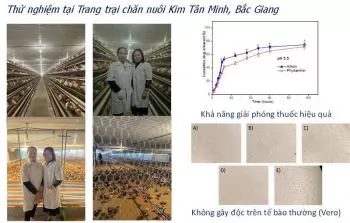 Nghiên cứu kháng sinh nano trong chăn nuôi gia cầm: Giải pháp mới hướng tới nông nghiệp an toàn, bền vững