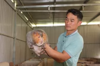 Mạnh dạn khởi nghiệp bằng mô hình mới