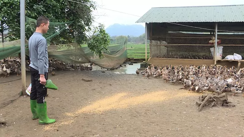 Nông dân làm giàu từ giống vật nuôi bản địa