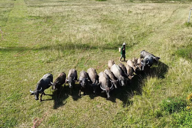 "Của để dành" ở Tà Năng