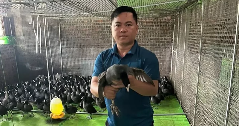 “Chim tiến vua” hồi sinh, mở hướng làm giàu bền vững ở Bắc Ninh