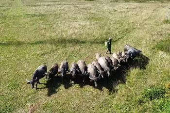 "Của để dành" ở Tà Năng