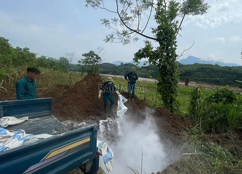 Các biện pháp phòng chống lây nhiễm virus Nipah trên đàn vật nuôi