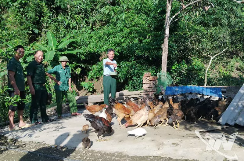 Thái Nguyên: Lan tỏa mô hình "Ngân hàng gà đen" ở Phong Quang Thái Nguyên: Lan tỏa mô hình "Ngân hàng gà đen" ở Phong Quang