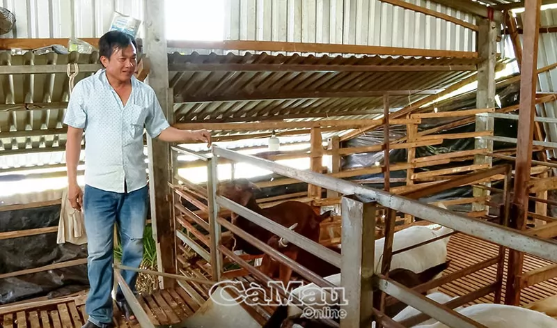 Ðầu năm "xông đất" mô hình nuôi dê, rắn hổ đất Ðầu năm "xông đất" mô hình nuôi dê, rắn hổ đất