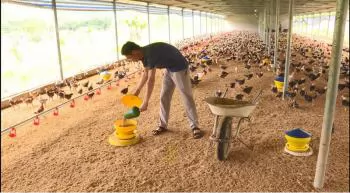 Nhân rộng mô hình sản xuất nông nghiệp tuần hoàn không chất thải