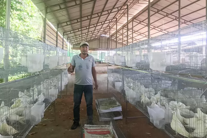 Chăn nuôi tuần hoàn trên đất cát Chăn nuôi tuần hoàn trên đất cát