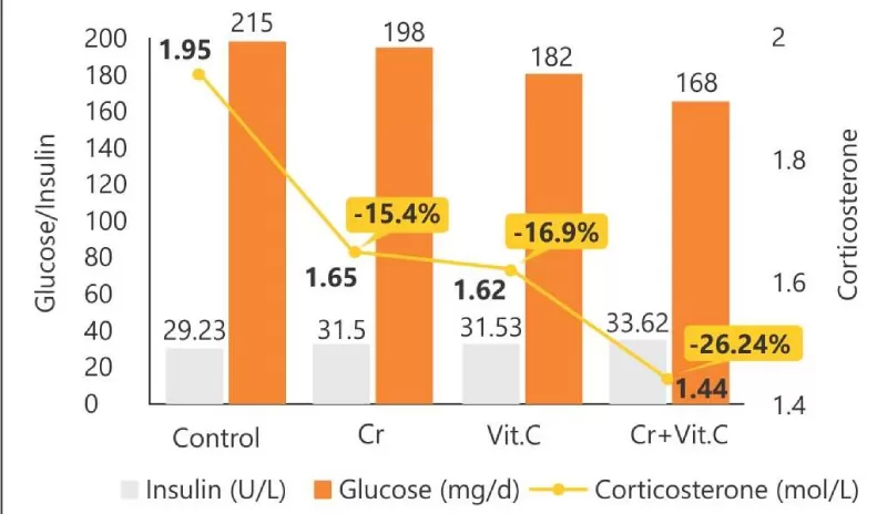 Hiệp đồng Crom, Vitamin C và E: Cách tiếp cận hiện đại trong việc giảm căng thẳng ở gia cầm